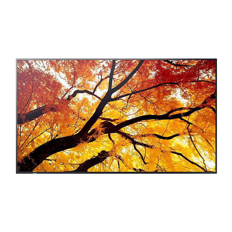 SHARP M-series 32'' Display