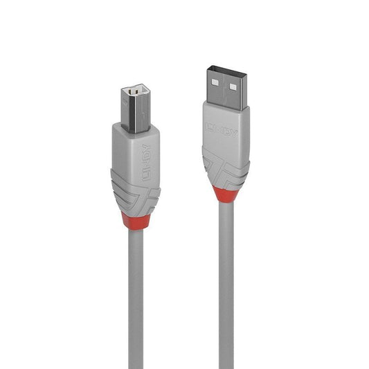 Lindy 2m USB 2.0 A to B Anthra