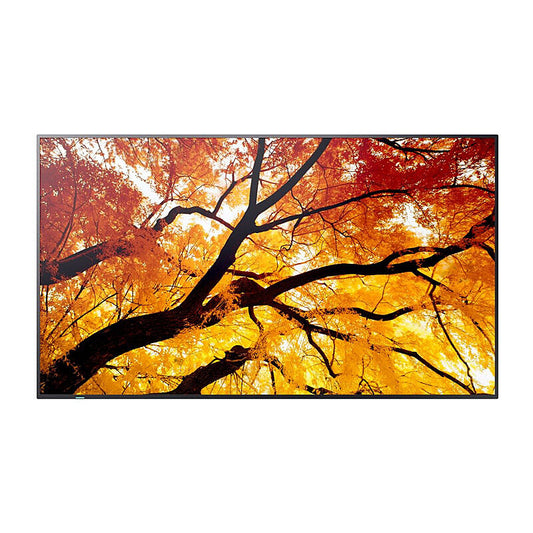 SHARP M-series 43'' Display